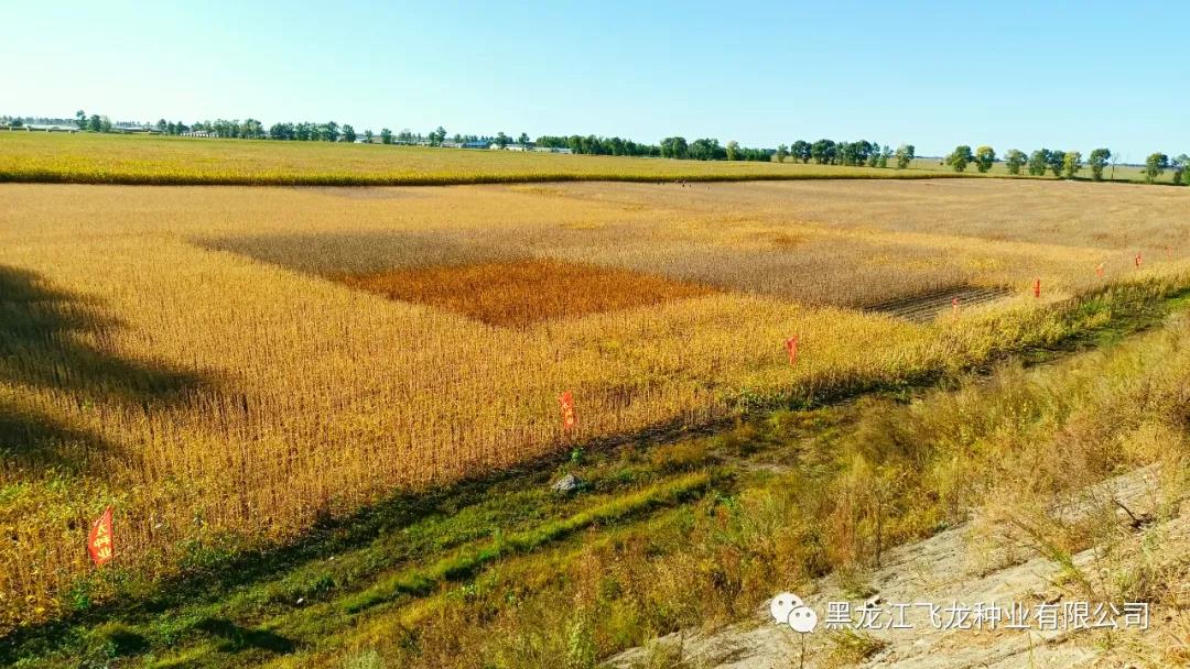 1640654709192653.jpg 2.jpg