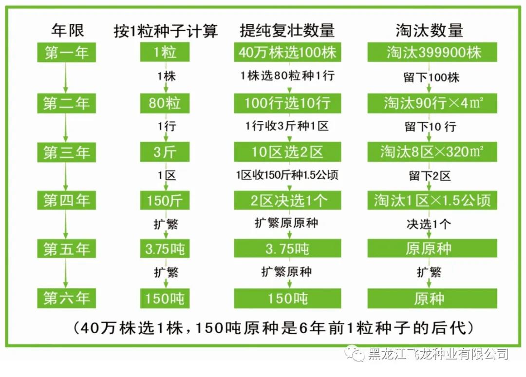 1640672146846736.jpg 6.jpg