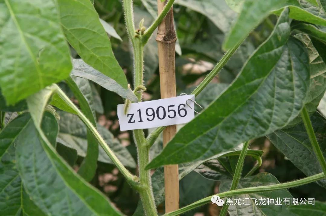 1640738333192911.jpg 20.jpg