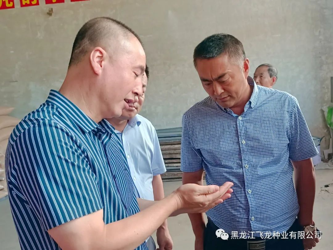 1660696681996788.jpg 10.jpg