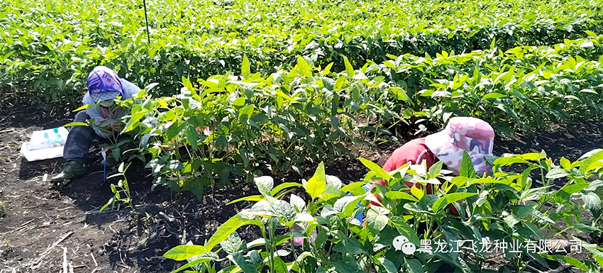 1689726551120902.png 6.png